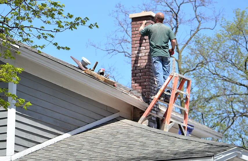 Chimney & Fireplace Inspections Services in Brandon, MS